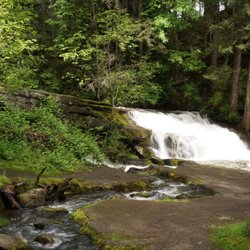 Bowen Park Complex - Bowen Falls