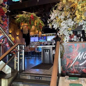 Mojo - Latin American Near Me - Forest Hills, New York