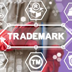 The Internet Law Group - TILG provides a variety of trademark protection and enforcement services.