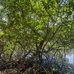 Lantana Nature Preserve