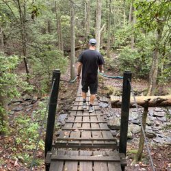 Savage Gulf State Park and Natural Area