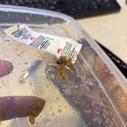 A bug that was in my kung pao chicken. A bug that was in my kung pao chicken.