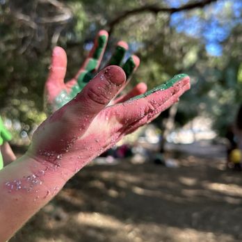 Woods Forest School - Educational Services Near Me