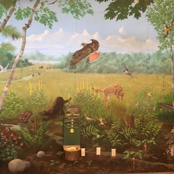 Nicandri Nature Center