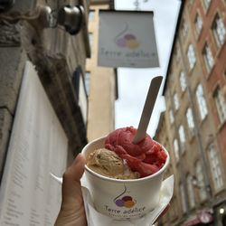 Terre Adélice - Strawberry Sorbet and Caramel Gelato