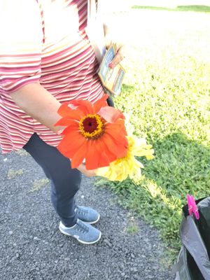 Ethan Allen Homestead Museum and Historic Site by null