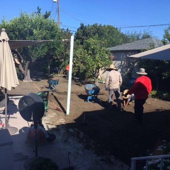Rosales Tree Care & Landscape Development - Tree Services Near Me - Encino , California Rosales Tree Care & Landscape Development - Tree Services Near Me - Encino , California