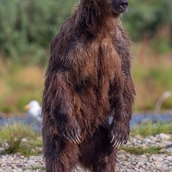 Expeditions Alaska - Rafting/Kayaking Near Me - Anchorage, Alaska