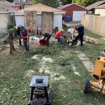 Meca Tree Service - Cleaning up after stump removal - Tree Services Near Me Meca Tree Service - Cleaning up after stump removal - Tree Services Near Me