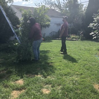 Jones Tree Service - Tree Services Near Me - Copiague, New York