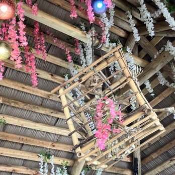 Jungle Bird - Tiki Bars Near Me - Cape Coral, Florida Jungle Bird - Tiki Bars Near Me - Cape Coral, Florida