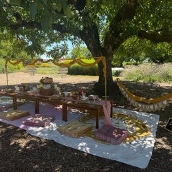 Picnic Potential - Set up
