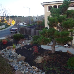 Mackenzie Landscape Gardening