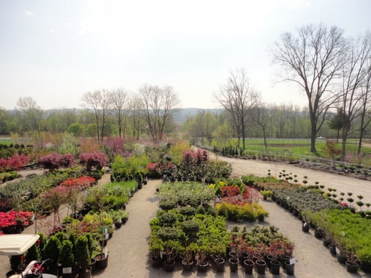 Bluff View Nursery