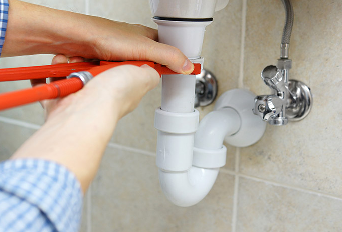 Slide of Mr Root Out