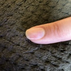 Crestline Nails & Spa - The hole in my nail i had to stop him or he would've made it bigger.