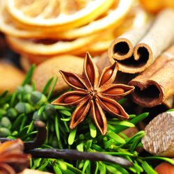 Shahins Indian Cuisine - Indian Restaurant & Takeaway in Amersham