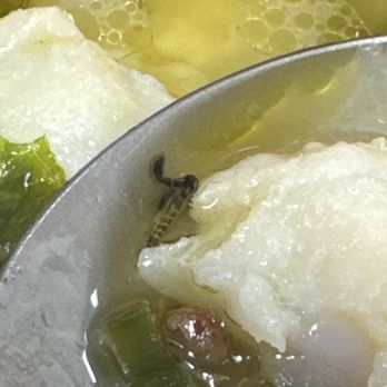 Fish With You - Bug in my food - Szechuan Near Me - Mountain View, California Fish With You - Bug in my food - Szechuan Near Me - Mountain View, California