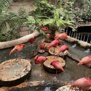 The Dallas World Aquarium - Aquariums Near Me - Dallas, Texas The Dallas World Aquarium - Aquariums Near Me - Dallas, Texas