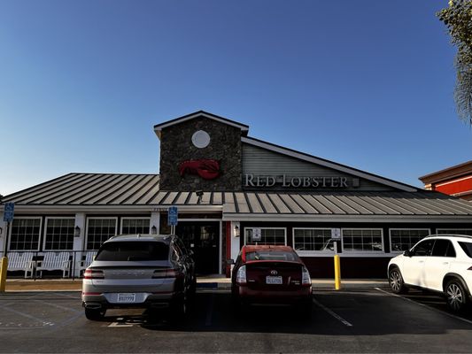 Red Lobster by null