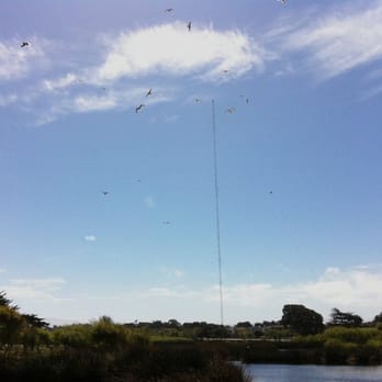 Locke Paddon Wetlands Park - The birds Seagulls are noisy and out in force - Parks Near Me - Marina, California Locke Paddon Wetlands Park - The birds Seagulls are noisy and out in force - Parks Near Me - Marina, California