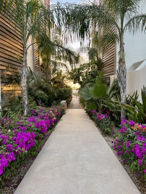 Chileno Bay Resort & Residences, Auberge Resorts Collection by null
