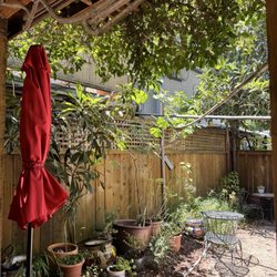 Armida’s Bakery & Cafe - Muffin Mania - Backyard seating