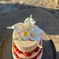 Sammycakes