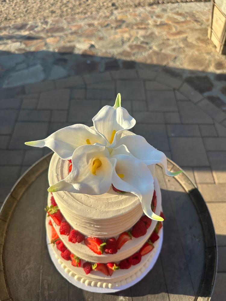 Sammycakes