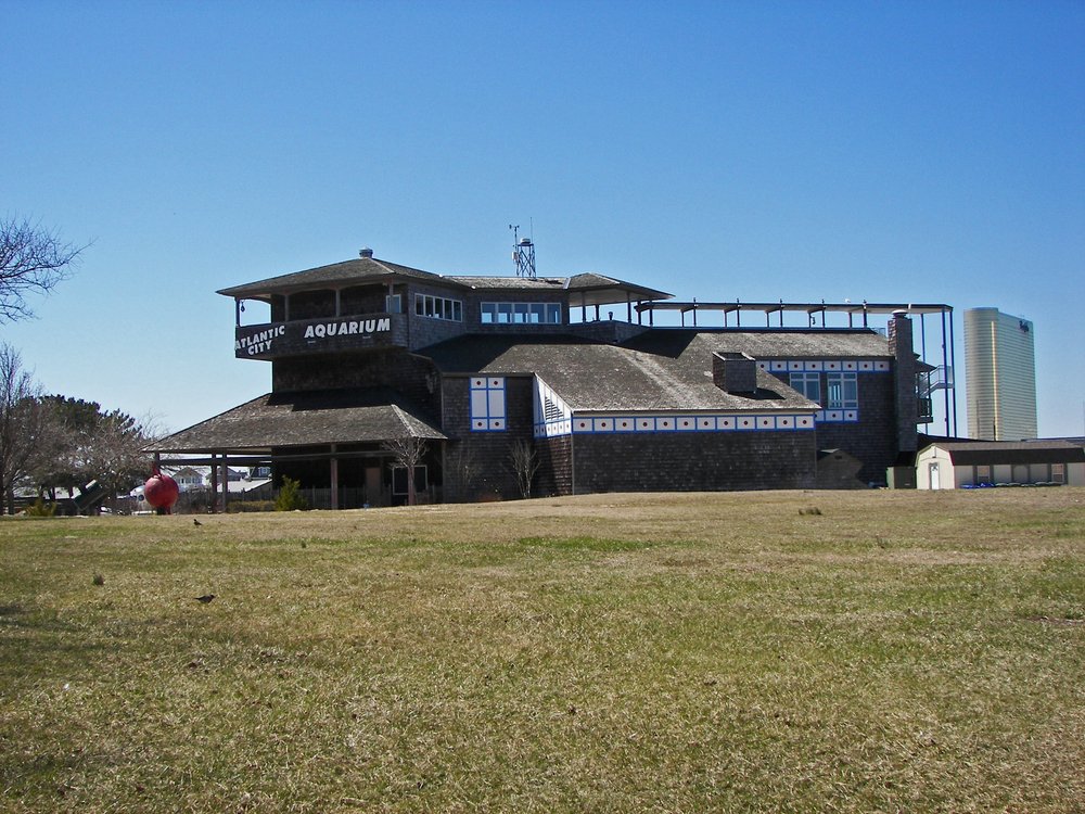 ATLANTIC CITY AQUARIUM Updated August 2024 206 Photos & 86 Reviews
