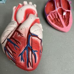 Methodist Pulmonaory Medicine Specialist