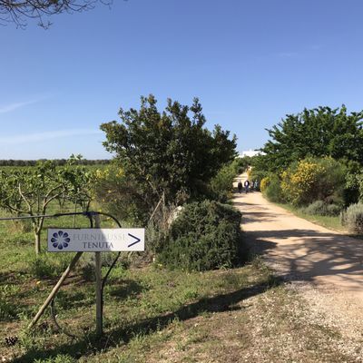 Furnirussi Tenuta by null