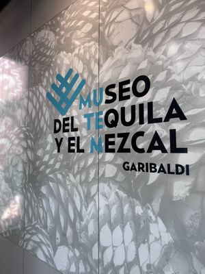 Museum of Tequila and Mezcal by null