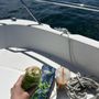 Gansett Wraps