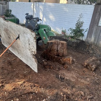 Green Sierra Landscaping - Nice work. Thank you. - Tree Services Near Me - San Jose, California