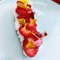 Petal Met Sugar - Summer Rose Pav
