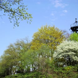 Kaiser-Friedrich-Turm