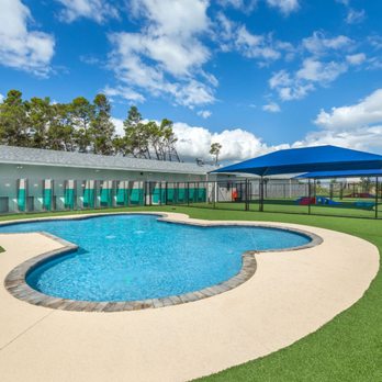 Pet Paradise Viera - Pet Boarding Near Me - Rockledge, Florida