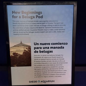 Shedd Aquarium - Aquariums Near Me - Chicago, Illinois