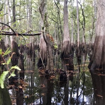 Capt Duke's Airboat Rides - Boat Tours Near Me - Christmas, Florida
