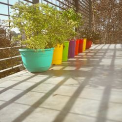MadreSelva Tienda de Paisajes - Macetitas de colores de MadreSelva!