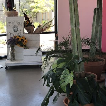 GEM Coffee - Love the plants - Coffee & Tea Near Me - San Diego, California