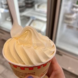 Anderson's Frozen Custard - Top quality custard - banana vanilla twist (small size)