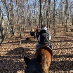 Coldwater Lake Stable - Trail ride today