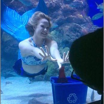 Downtown Aquarium - Mystic Mermaid Show! April 15, 2017 This is what brought us to the aquarium! My kids loved the shows! - Museums Near Me - Denver, Colorado