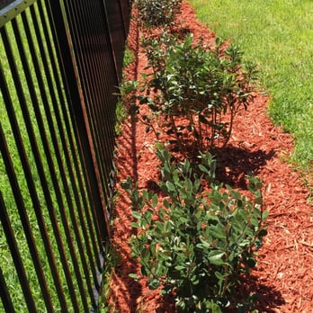 Thompson and Son's Lawnscapes - Mulch and plant installation - Landscaping Near Me Thompson and Son's Lawnscapes - Mulch and plant installation - Landscaping Near Me