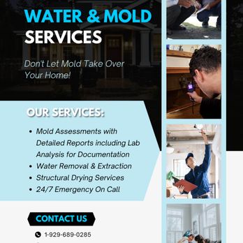 Water and Mold Solutions - Mold inspections, water damage restoration, and detailed lab reports. Fast, reliable service for NYC, Nassau, Suffolk & Westchester. - Environmental Testing Near Me Water and Mold Solutions - Mold inspections, water damage restoration, and detailed lab reports. Fast, reliable service for NYC, Nassau, Suffolk & Westchester. - Environmental Testing Near Me