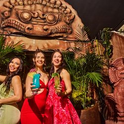 Shipwrecked Paradise Island - Enjoy our Paradise Island theme with your best friends!