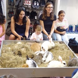 Farmer Paul's Mobile Pets and Pony Rides