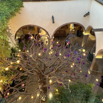 Atrio - Atrium - Pan Asian Near Me - San Miguel de Allende, GUA Atrio - Atrium - Pan Asian Near Me - San Miguel de Allende, GUA